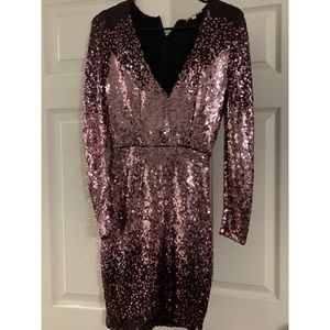Size small long sleeve sequin dress.